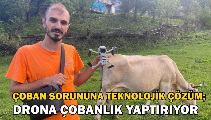 Drona Çobanlık Yaptırıyor