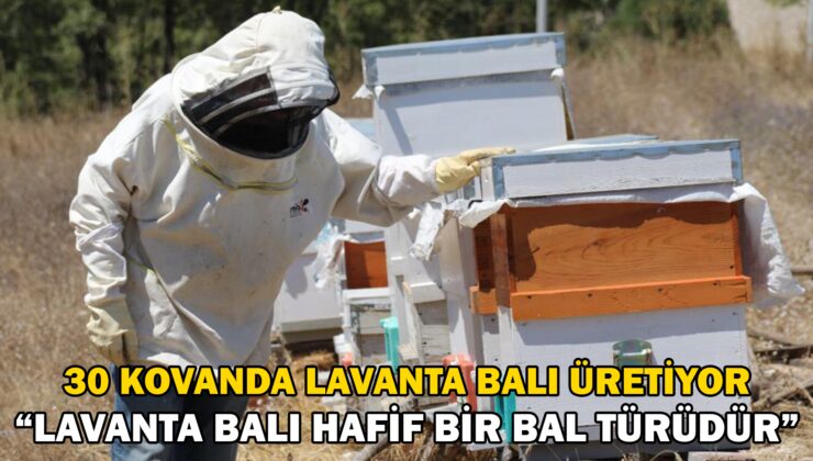 Aldığı Devlet Desteği Ile 30 Kovanda Lavanta Balı Üretiyor