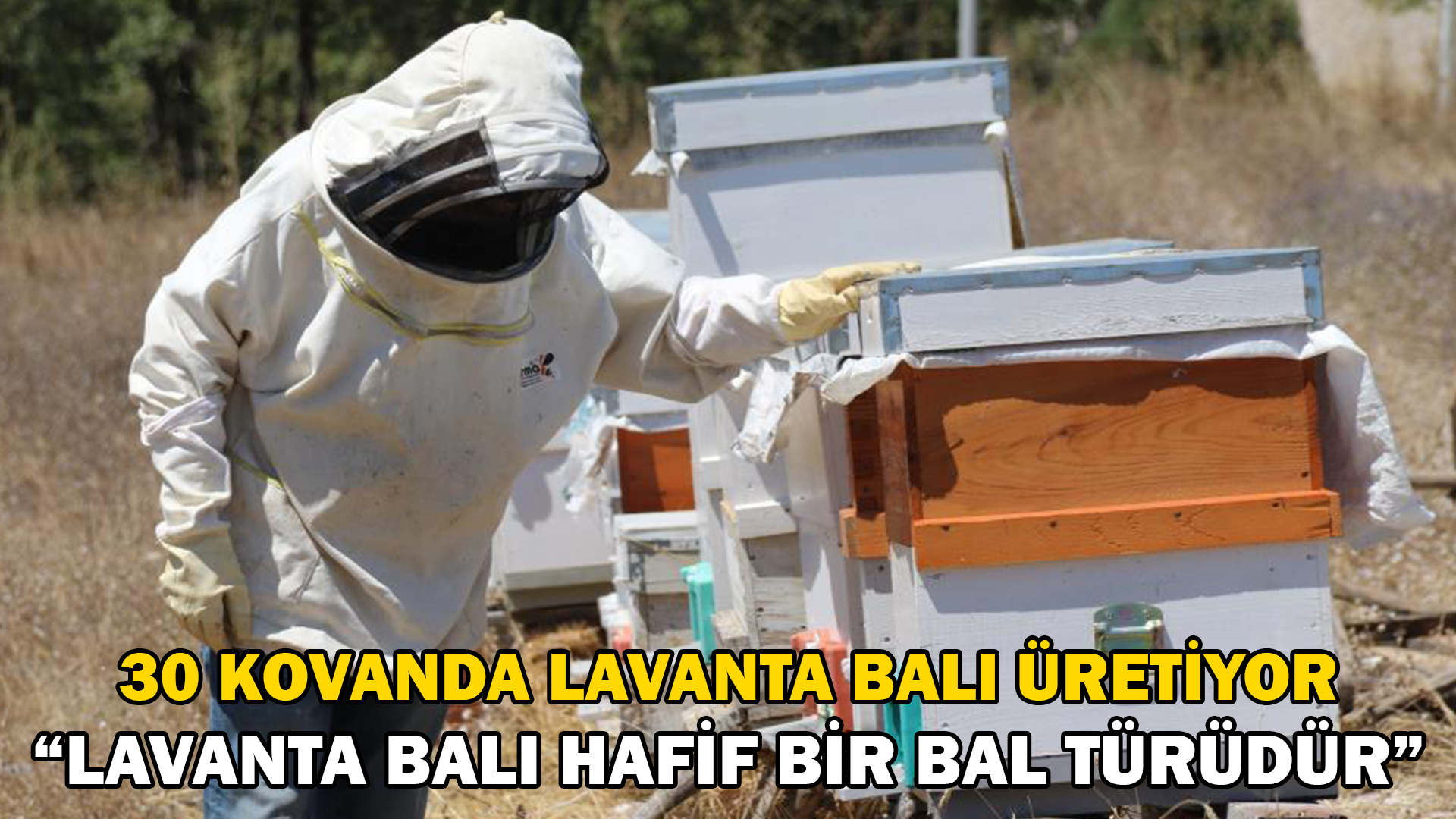 Aldığı devlet desteği ile 30 kovanda lavanta balı üretiyor