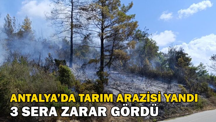 Antalya’da Tarım Arazisi Yandı, 3 Sera Zarar Gördü