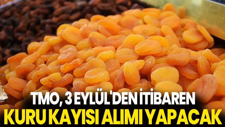 Toprak Mahsulleri Ofisi, 3 Eylül’Den Itibaren Kuru Kayısı Alımı Yapacak