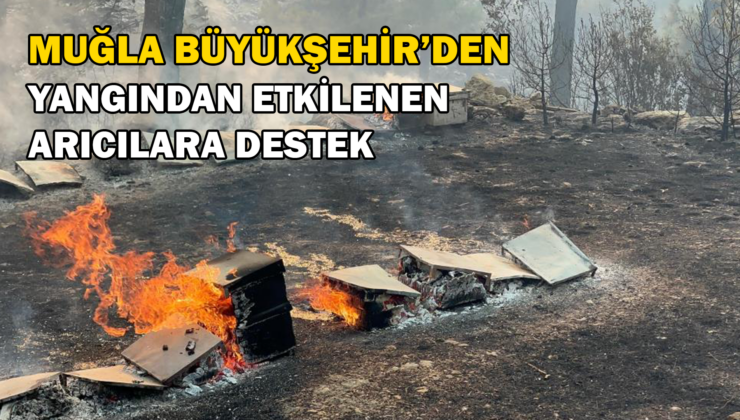 Büyükşehir’den Yangından Etkilenen Arıcılara Destek