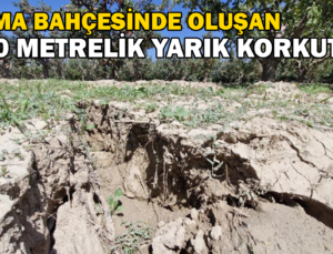 Elma Bahçesinde Oluşan 100 Metrelik Yarık Korkuttu