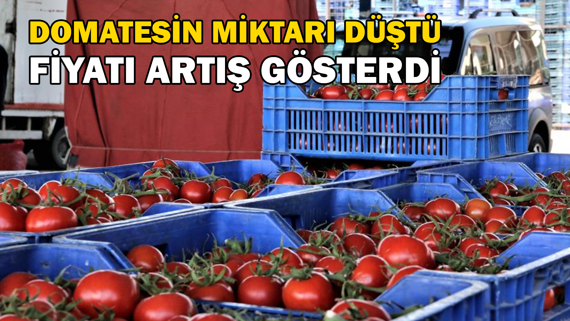 Antalya’da domatesin miktarı düştü, fiyatı arttı