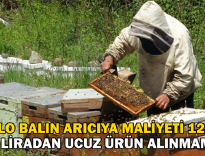 1 Kilo Balın Arıcıya Maliyeti 128 Tl!