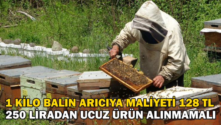 1 Kilo Balın Arıcıya Maliyeti 128 Tl!