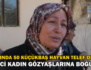 Yangında Kurbanlık 50 Hayvanı Telef Olan Besici Kadın Gözyaşlarına Boğuldu