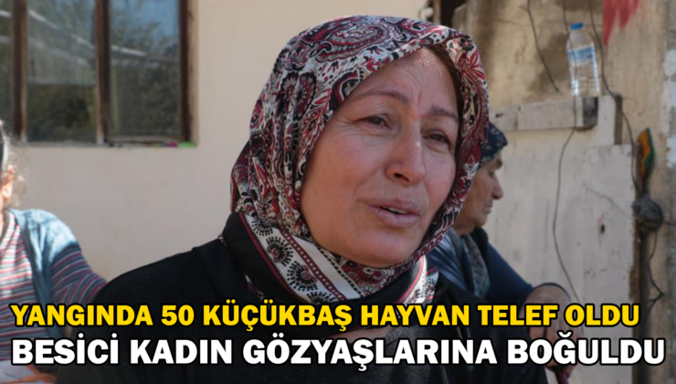 Yangında Kurbanlık 50 Hayvanı Telef Olan Besici Kadın Gözyaşlarına Boğuldu