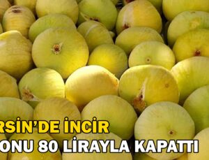 Mersin’de Incirin Sezonu 80 Lirayla Kapatması Üreticinin Yüzünü Güldürdü