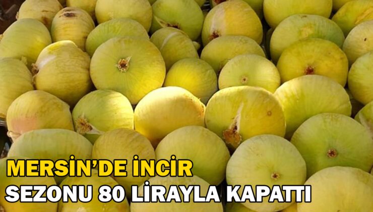 Mersin’de Incirin Sezonu 80 Lirayla Kapatması Üreticinin Yüzünü Güldürdü