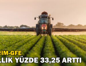 Tarım-Gfe Yıllık Yüzde 33,25 Arttı