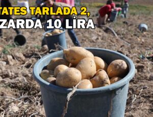 Patates Tarlada 2, Pazarda 10 Lira