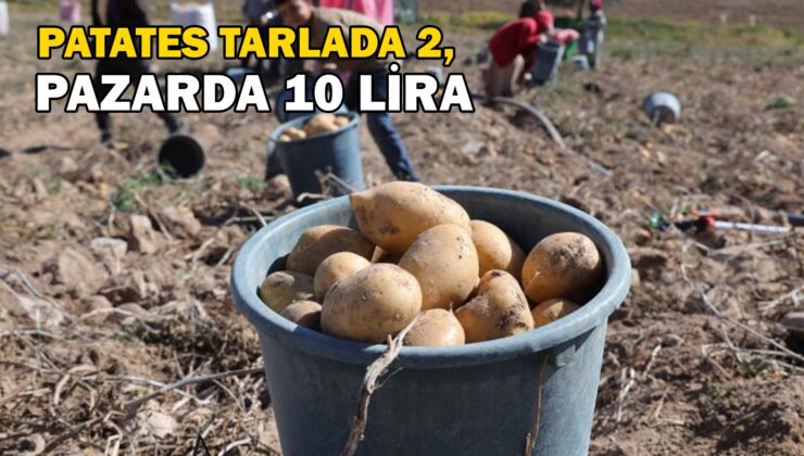 Patates Tarlada 2, Pazarda 10 Lira