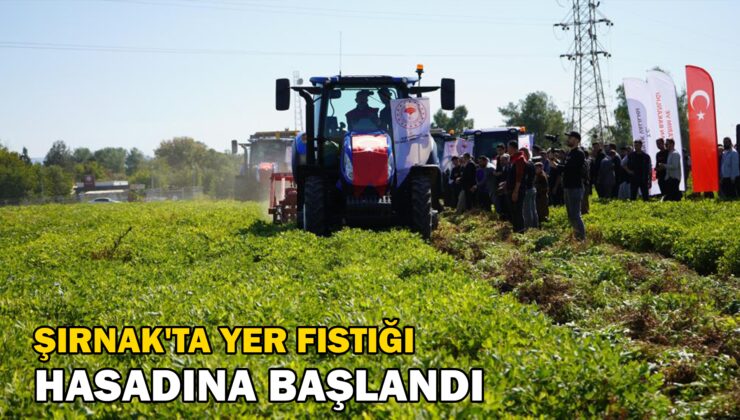 Şırnak’Ta Yer Fıstığı Hasadına Başlandı