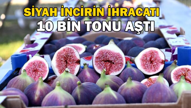 Coğrafi Tescilli Siyah Incirin Ihracatı 10 Bin Tonu Aştı