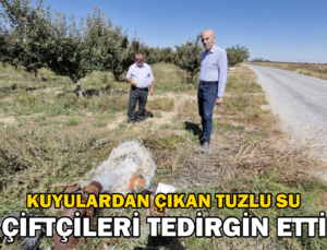 Kuyulardan Tuzlu Su Çıkması Çiftçileri Tedirgin Etti