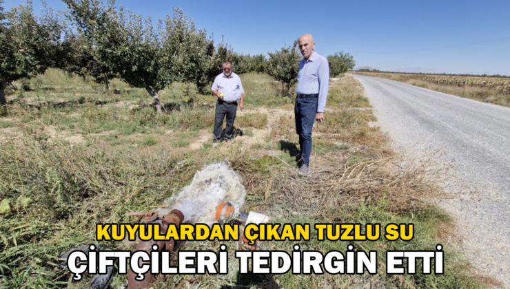 Kuyulardan Tuzlu Su Çıkması Çiftçileri Tedirgin Etti