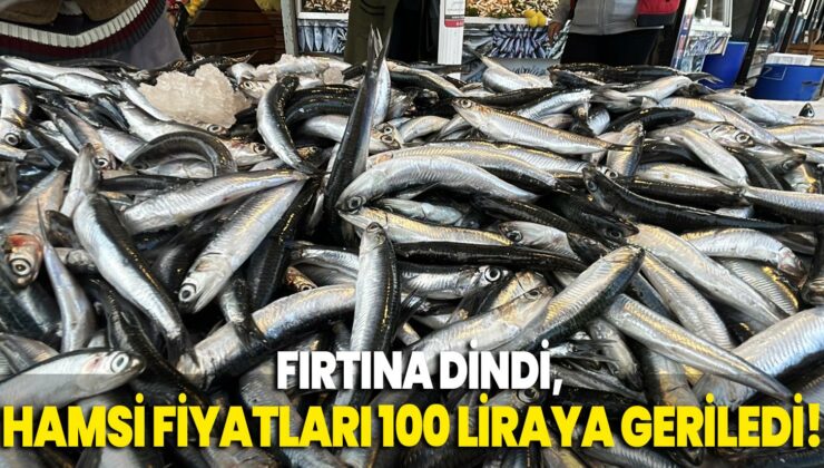 Fırtına Dindi, Hamsi Fiyatları 100 Liraya Geriledi