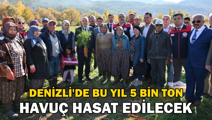 Denizli’De Bu Yıl 5 Bin Ton Havuç Hasat Edilecek