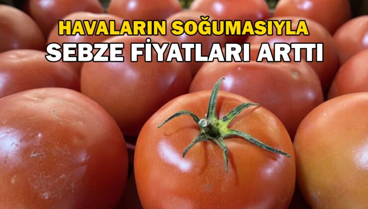 Havaların Soğumasıyla Sebze Fiyatları Arttı