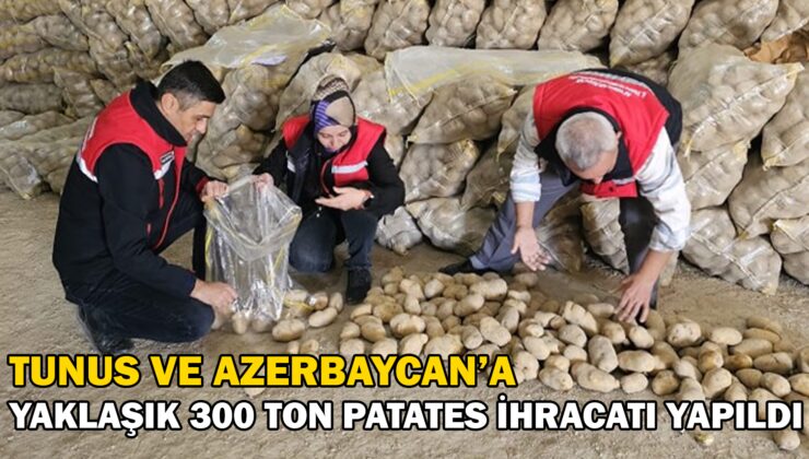 Tunus Ve Azerbaycan’a Yaklaşık 300 Ton Patates Ihracatı Yapıldı