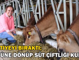 Şantiyeden Köyüne Dönüp Süt Çiftliği Kurdu