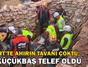 Siirt’te ahırın tavanı çöktü, 3 küçükbaş telef oldu