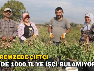 Depremzede Çiftçi “Günde 1000 Tl’Ye Işçi Bulamıyoruz”