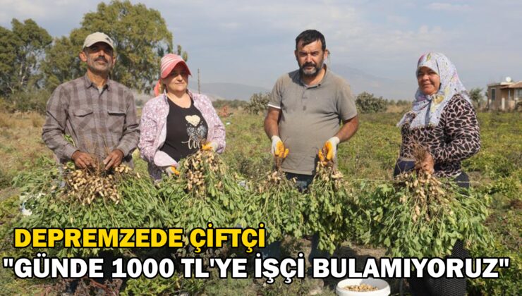 Depremzede Çiftçi “Günde 1000 Tl’Ye Işçi Bulamıyoruz”