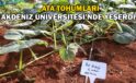 Ata Tohumları Akdeniz Üniversitesi’nde yeşerdi