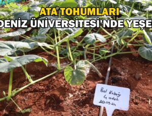 Ata Tohumları Akdeniz Üniversitesi’nde yeşerdi