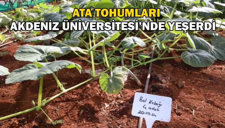 Ata Tohumları Akdeniz Üniversitesi’nde yeşerdi