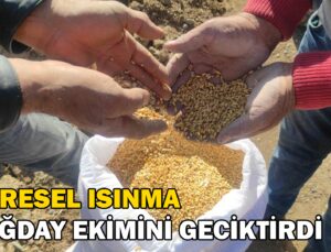 Çiftçi Küresel Isınmanın Etkileri Yüzünden Buğdayını Geç Ekiyor