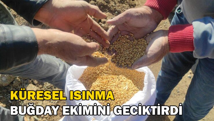 Çiftçi Küresel Isınmanın Etkileri Yüzünden Buğdayını Geç Ekiyor