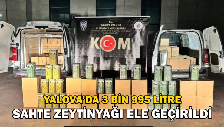 Yalova’da 3 Bin 995 Litre Sahte Zeytinyağı Ele Geçirildi