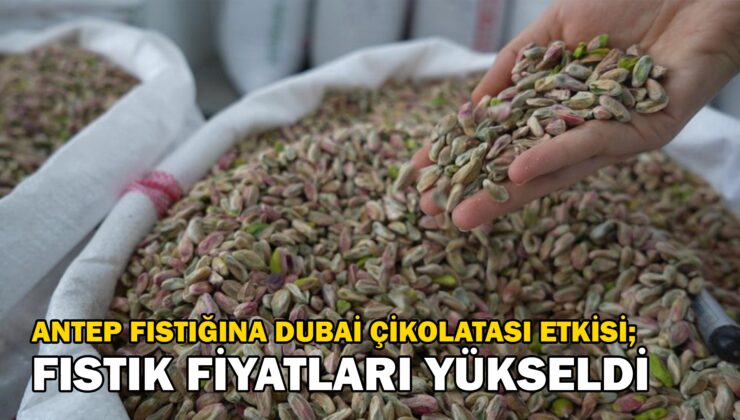 Antep Fıstığına Dubai Çikolatası Etkisi; Fıstık Fiyatları Yükseldi