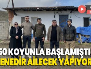 Hayvancılığa 50 Koyunla Başlamıştı, 30 Senedir Ailecek Yapıyorlar