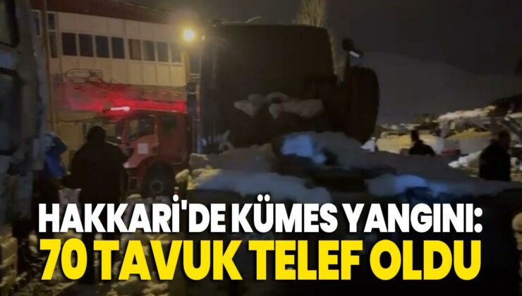 Hakkari’De Kümes Yangını: 70 Tavuk Telef Oldu