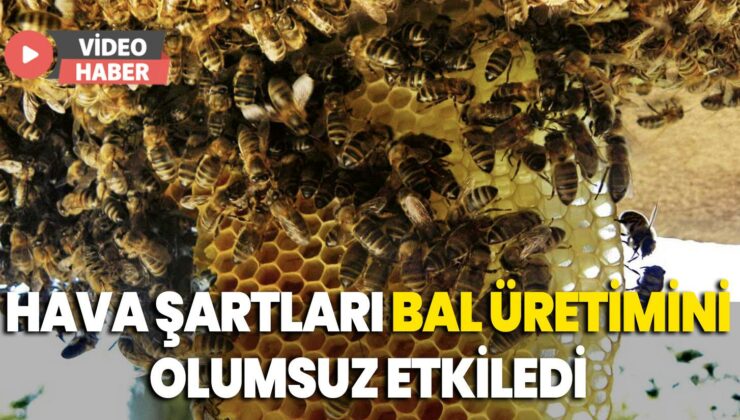 Hava Şartları Bal Üretimini Olumsuz Etkiledi