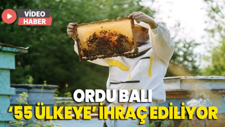 Ordu Balı 55 Ülkeye Ihraç Ediliyor