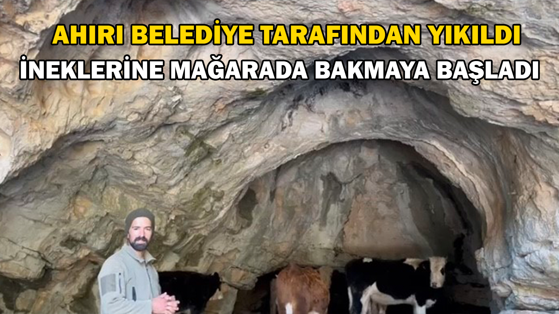 Ahırı belediye tarafından yıkıldı, ineklerine mağarada bakmaya başladı