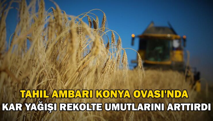 Tahıl Ambarı Konya Ovası’Nda Kar Yağışı Rekolte Umutlarını Arttırdı