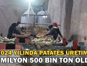 2024 Yılında 6 Milyon 500 Bin Ton Patates Üretimi Yapıldı