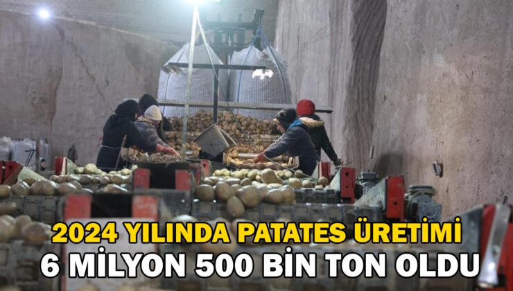 2024 Yılında 6 Milyon 500 Bin Ton Patates Üretimi Yapıldı