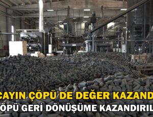 Çayın Çöpü De Değer Kazandı