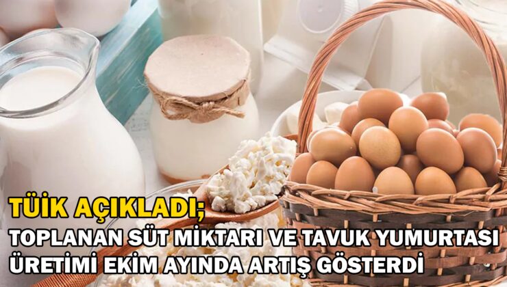 Tüi̇k Açıkladı; Toplanan Süt Miktarı Ve Tavuk Yumurtası Üretimi Ekim Ayında Artış Gösterdi