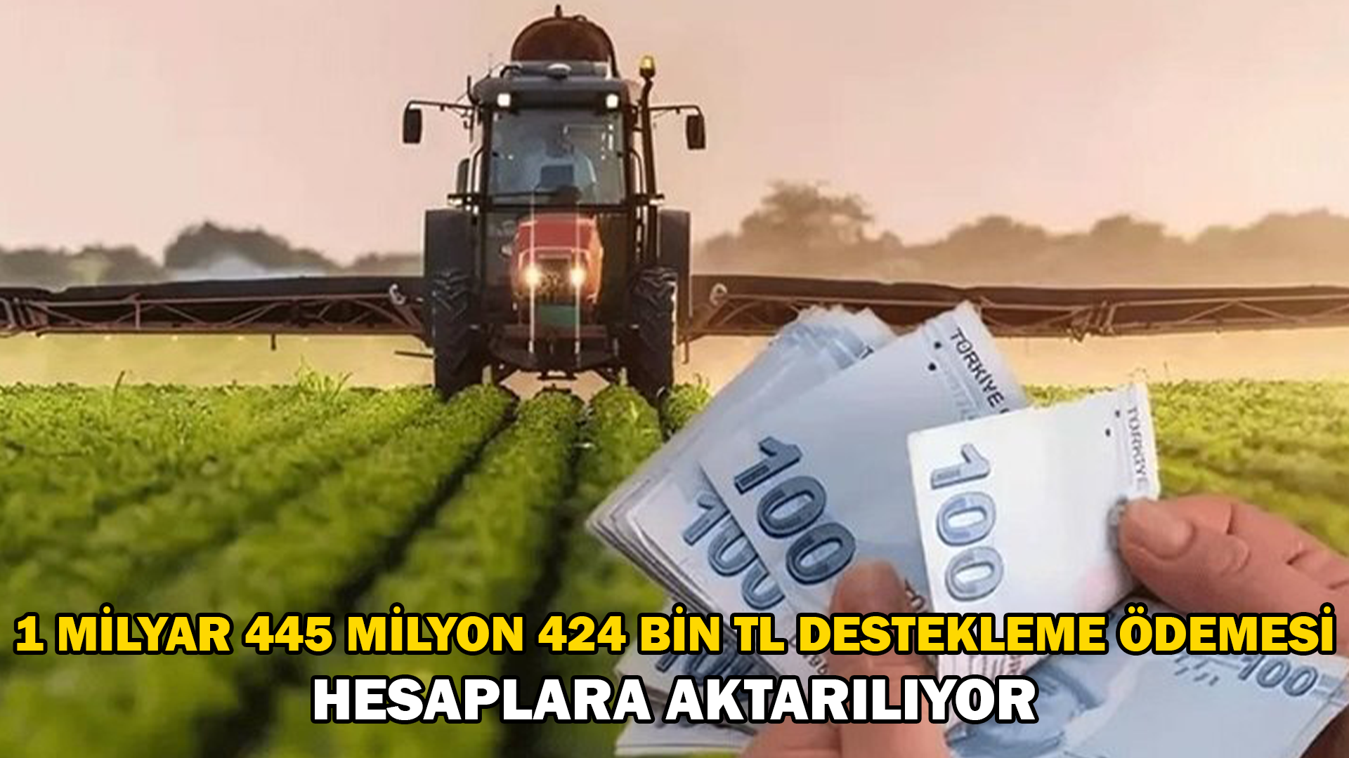 1 milyar 445 milyon 424 bin TL tarımsal destekleme ödemesi hesaplara aktarılıyor