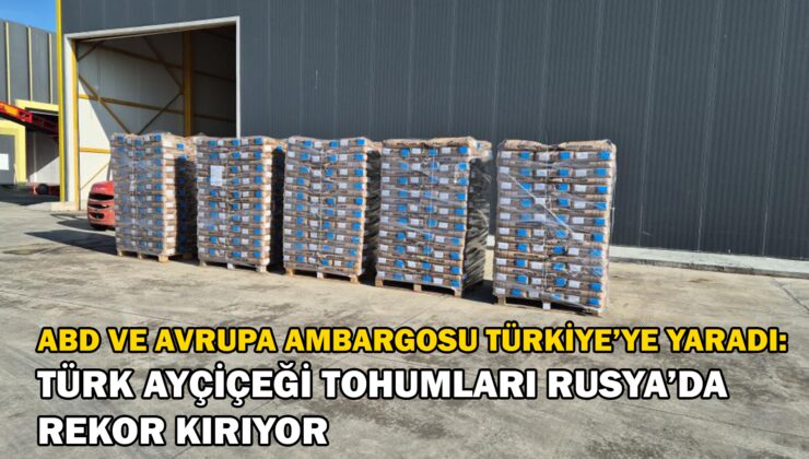 Türk Ayçiçeği Tohumları Rusya’da Rekor Kırıyor