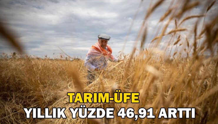 Tarım-Üfe Yıllık Yüzde 46,91 Arttı