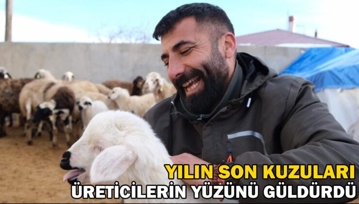 Erzincan’da Yılın Son Kuzuları Üreticilerin Yüzünü Güldürdü